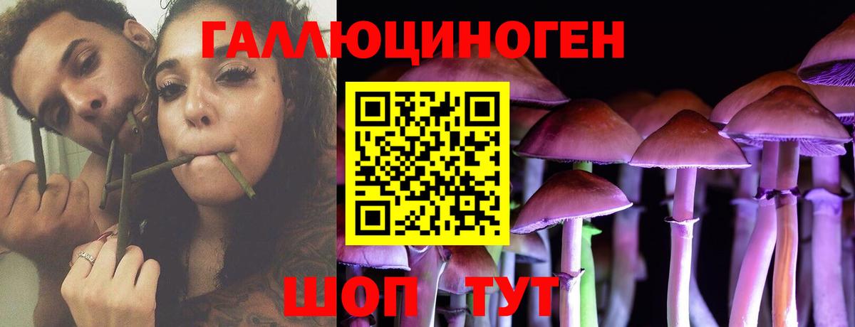 Псилоцибиновые грибы мицелий  Вход с VPN  Саров  Галлюциногенные грибы Psilocybine cubensis 